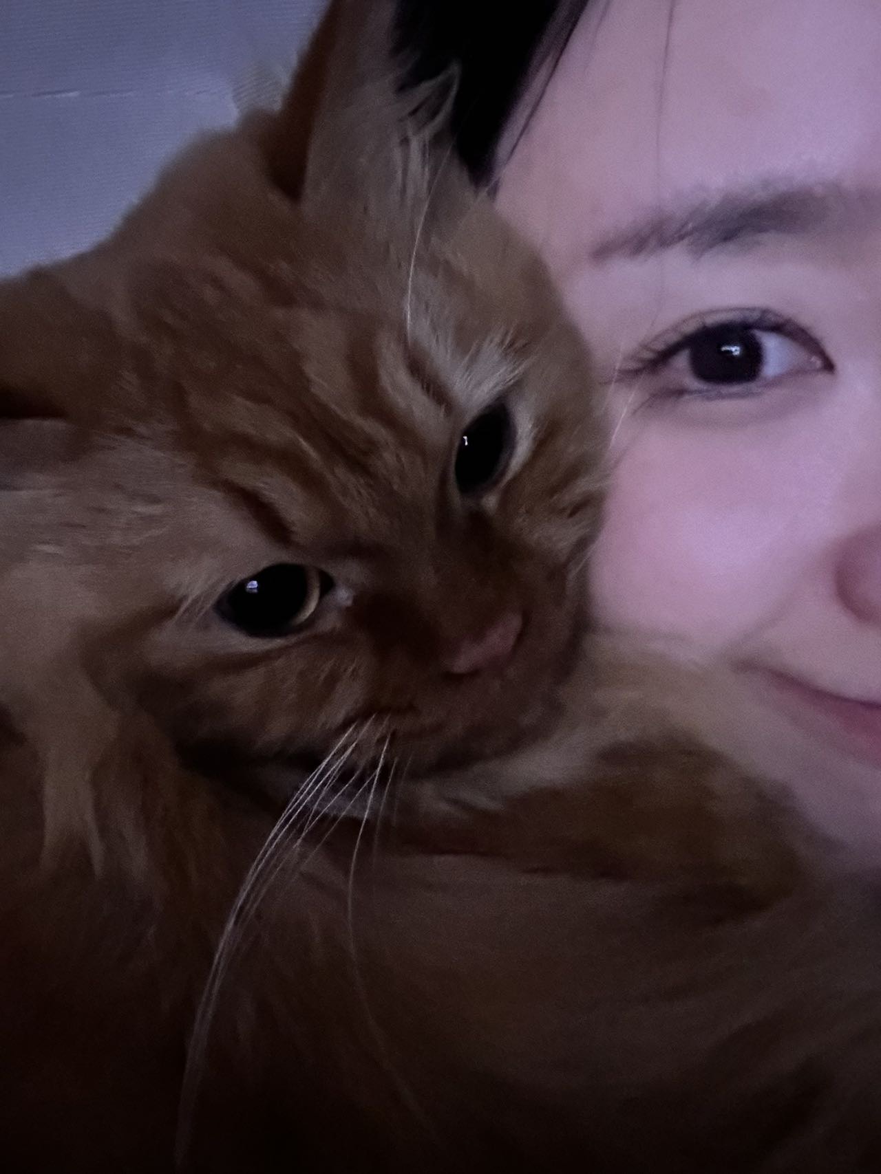 杭州拱墅区接上门喂猫 上门遛狗啦(长期) 图片 8