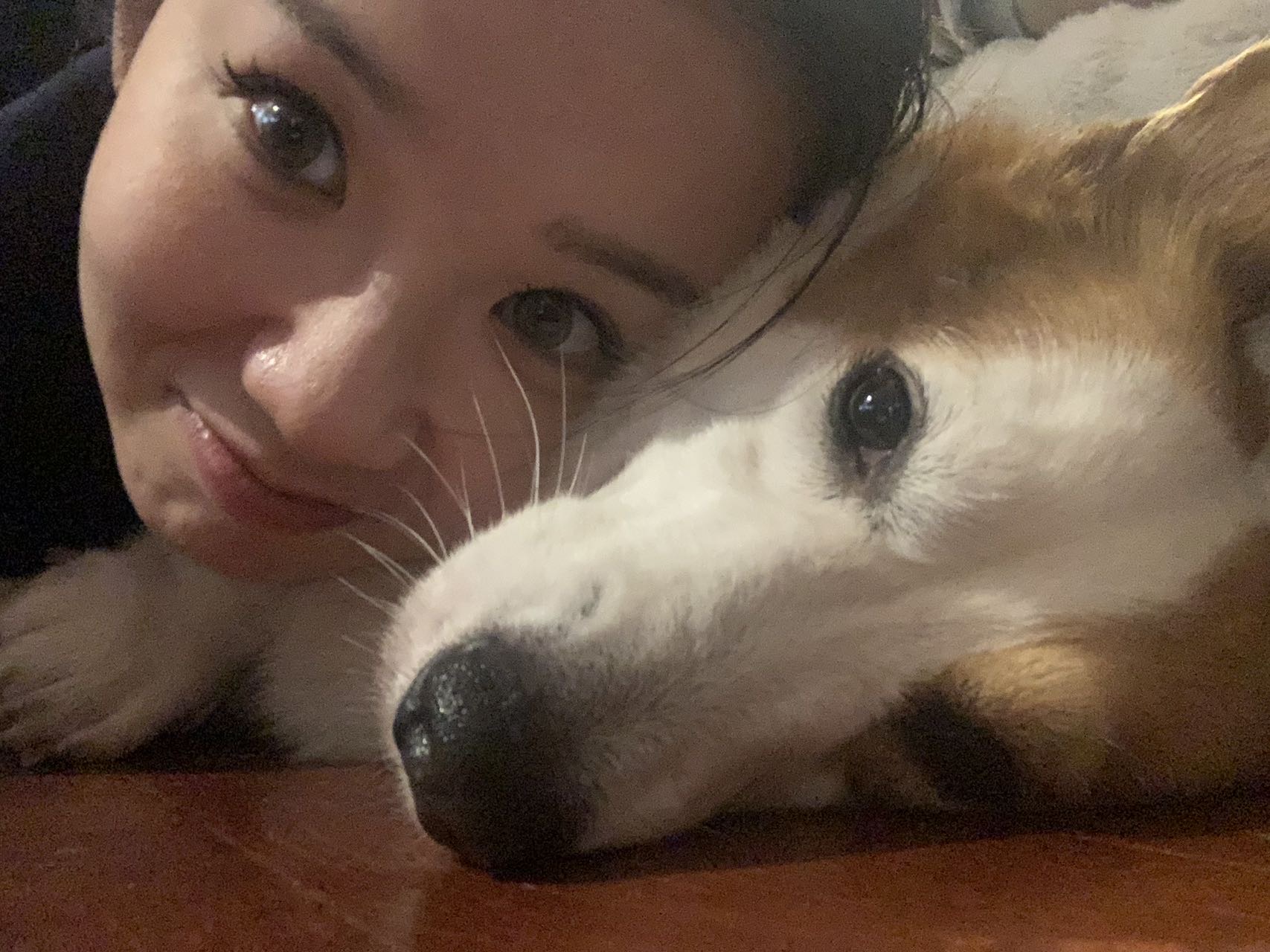 杭州拱墅区接上门喂猫 上门遛狗啦(长期) 图片 4