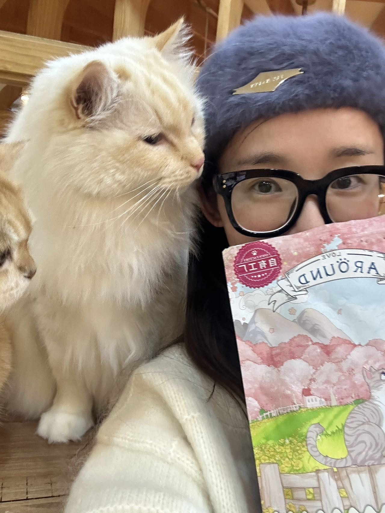 杭州拱墅区接上门喂猫 上门遛狗啦(长期) 图片 2